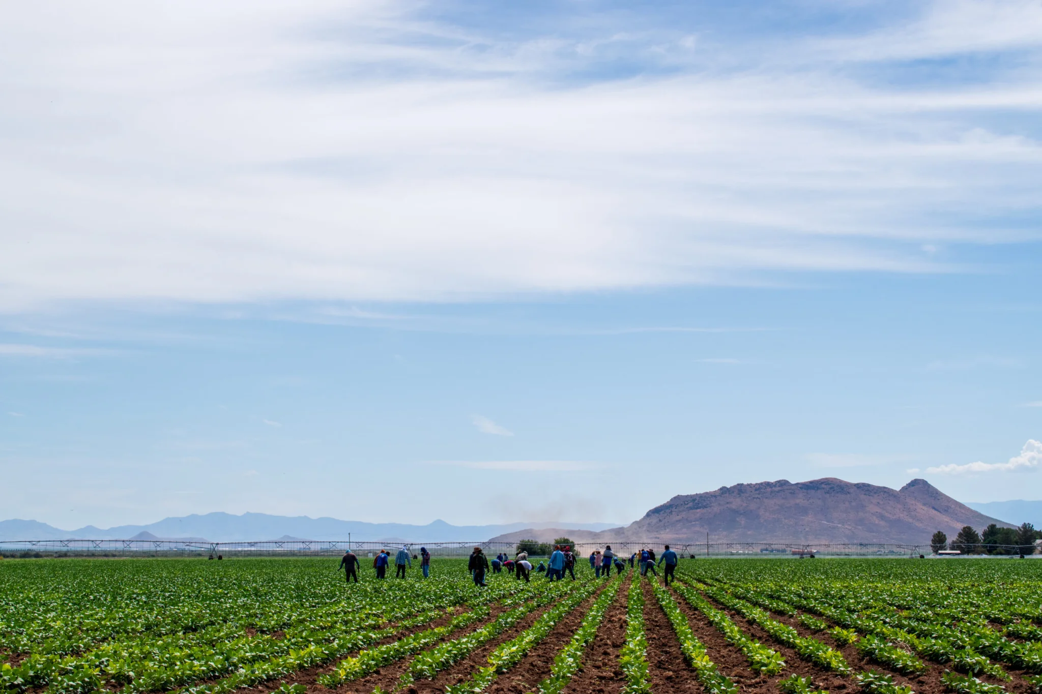 Serving Migrant Farm Workers